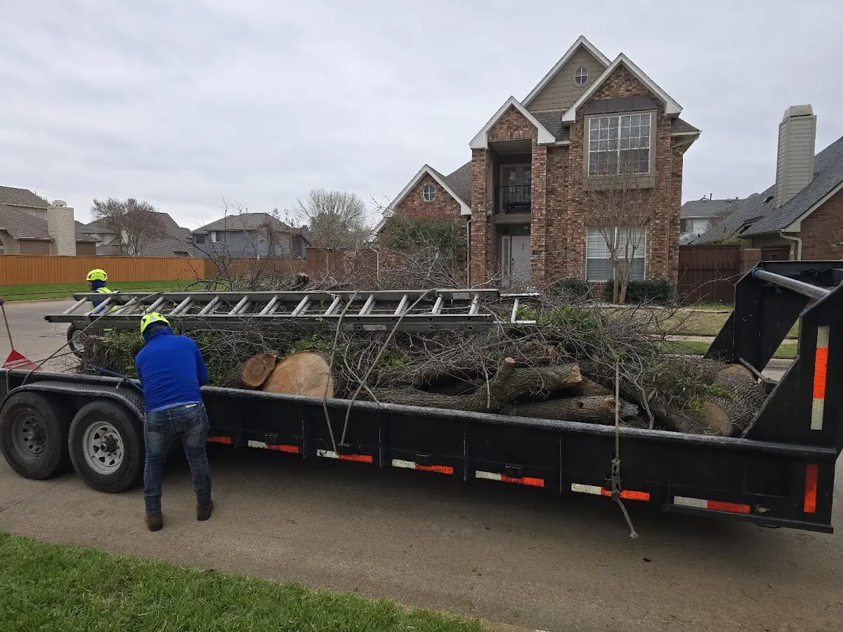 Expert Tree Fertilization with proper safety equipment in Bloomingdale